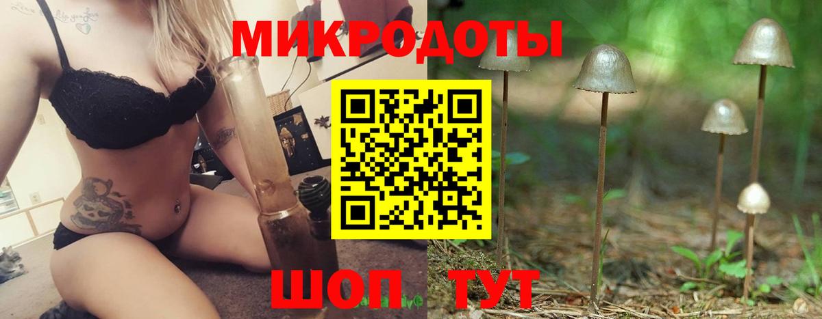Галлюциногенные грибы Psilocybe  Вход с VPN  Псилоцибиновые грибы MAGIC MUSHROOMS  Буйнакск 